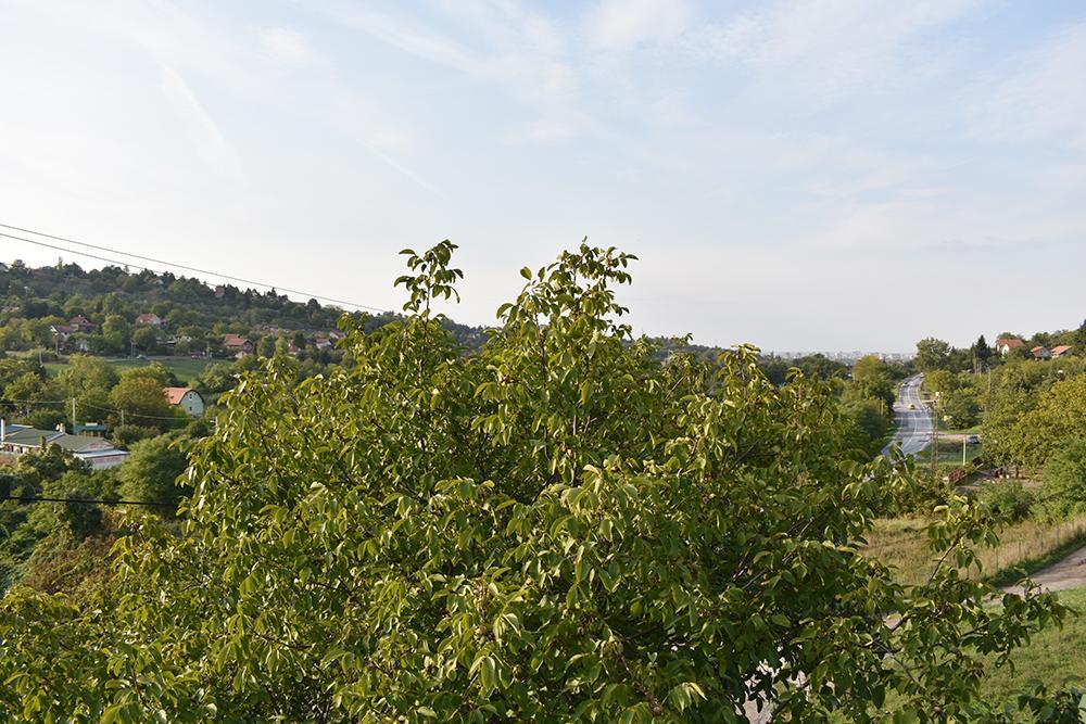 Fruskogorska Terasa Apartment Novi Sad Exterior photo